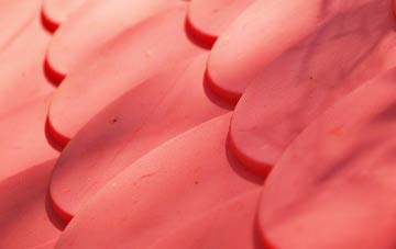 Ridley Stokoe plastic roof costs