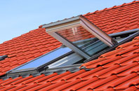 Ridley Stokoe roof window